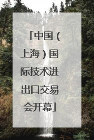中国（上海）国际技术进出口交易会开幕