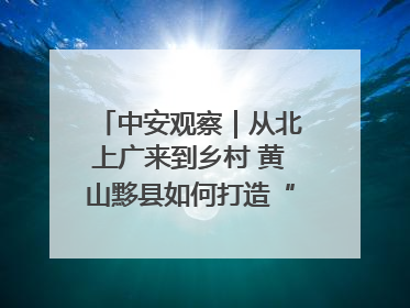 中安观察｜从北上广来到乡村 黄山黟县如何打造“数字游民”的“桃花源”？