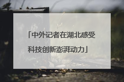 中外记者在湖北感受科技创新澎湃动力