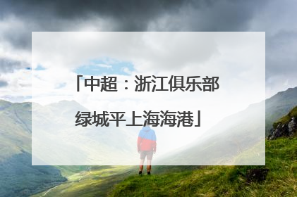 中超：浙江俱乐部绿城平上海海港