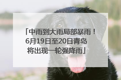 中雨到大雨局部暴雨！6月19日至20日青岛将出现一轮强降雨