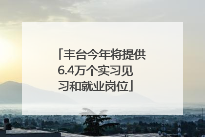 丰台今年将提供6.4万个实习见习和就业岗位