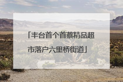 丰台首个首蔡精品超市落户六里桥街道