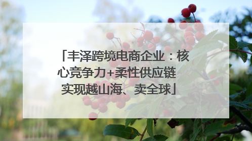 丰泽跨境电商企业：核心竞争力+柔性供应链 实现越山海、卖全球