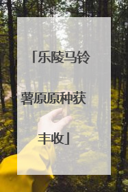 乐陵马铃薯原原种获丰收