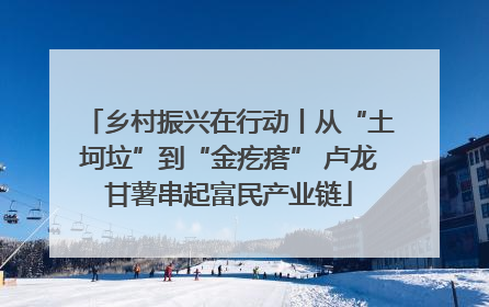 乡村振兴在行动丨从“土坷垃”到“金疙瘩” 卢龙甘薯串起富民产业链
