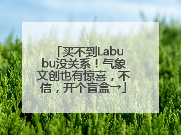 买不到Labubu没关系！气象文创也有惊喜，不信，开个盲盒→