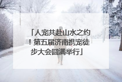 人宠共赴山水之约！第五届济南携宠徒步大会圆满举行