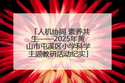 人机协同 素养共生——2025年黄山市屯溪区小学科学主题教研活动纪实