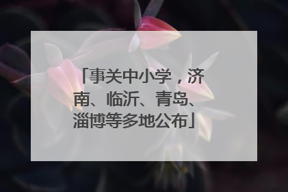 事关中小学，济南、临沂、青岛、淄博等多地公布
