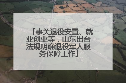 事关退役安置、就业创业等，山东出台法规明确退役军人服务保障工作