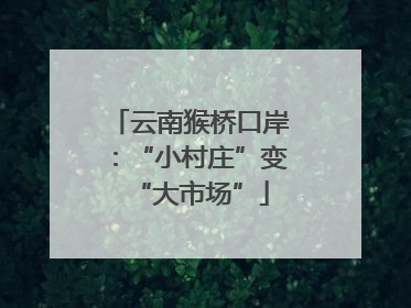 云南猴桥口岸：“小村庄”变“大市场”
