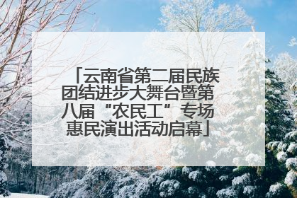 云南省第二届民族团结进步大舞台暨第八届“农民工”专场惠民演出活动启幕