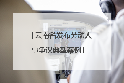 云南省发布劳动人事争议典型案例