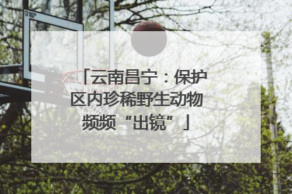 云南昌宁：保护区内珍稀野生动物频频“出镜”