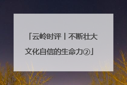 云岭时评丨不断壮大文化自信的生命力②