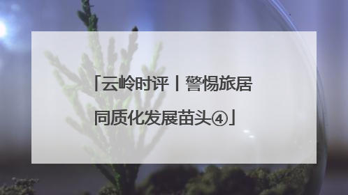 云岭时评丨警惕旅居同质化发展苗头④