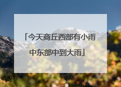 今天商丘西部有小雨 中东部中到大雨