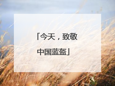 今天，致敬中国蓝盔