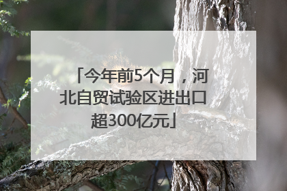 今年前5个月，河北自贸试验区进出口超300亿元