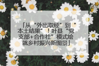 从“外出取经”到“本土结果”！叶县“党支部+合作社”模式绘就乡村振兴新图景