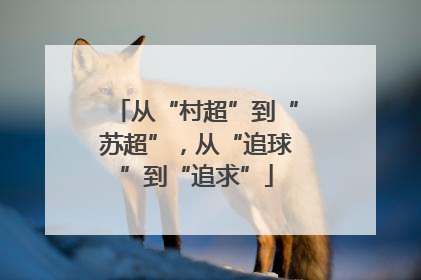 从“村超”到“苏超”，从“追球”到“追求”
