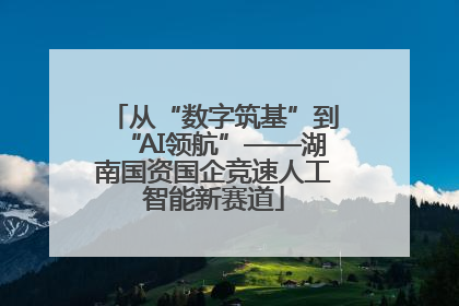 从“数字筑基”到“AI领航”——湖南国资国企竞速人工智能新赛道