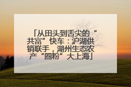 从田头到舌尖的“共富”快车：沪湖供销联手，湖州生态农产“圈粉”大上海