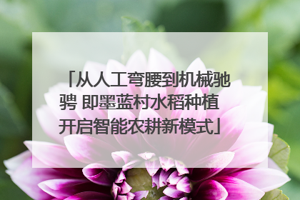 从人工弯腰到机械驰骋 即墨蓝村水稻种植开启智能农耕新模式