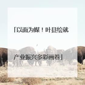 以面为媒！叶县绘就产业振兴多彩画卷
