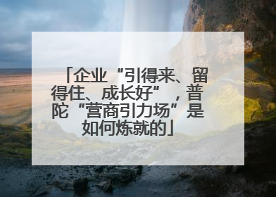 企业“引得来、留得住、成长好”，普陀“营商引力场”是如何炼就的