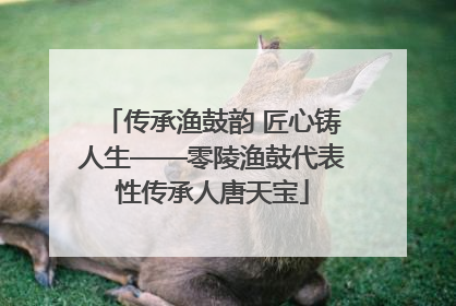 传承渔鼓韵 匠心铸人生——零陵渔鼓代表性传承人唐天宝