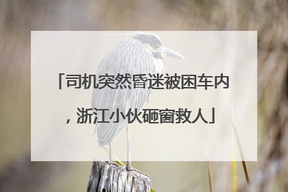 司机突然昏迷被困车内，浙江小伙砸窗救人
