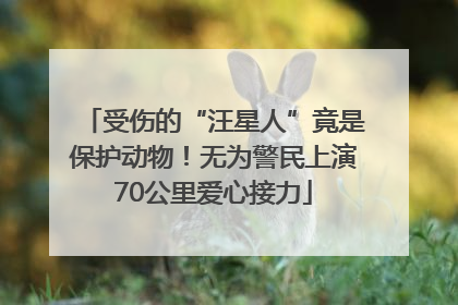 受伤的“汪星人”竟是保护动物！无为警民上演70公里爱心接力