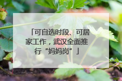 可自选时段、可居家工作，武汉全面推行“妈妈岗”