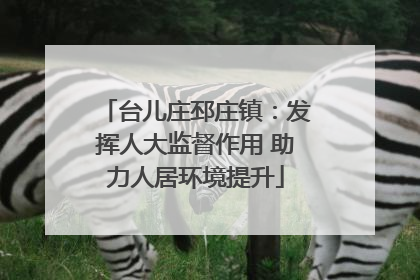 台儿庄邳庄镇：发挥人大监督作用 助力人居环境提升