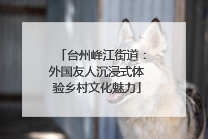 台州峰江街道：外国友人沉浸式体验乡村文化魅力