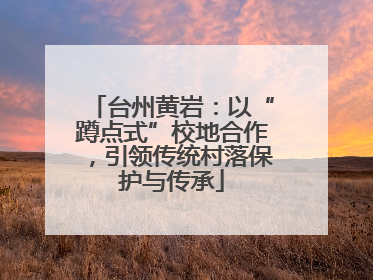 台州黄岩：以“蹲点式”校地合作，引领传统村落保护与传承