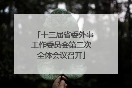 十三届省委外事工作委员会第三次全体会议召开