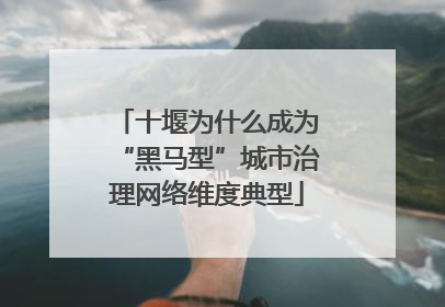 十堰为什么成为“黑马型”城市治理网络维度典型