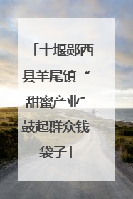 十堰郧西县羊尾镇“甜蜜产业”鼓起群众钱袋子