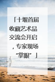 十堰首届收藏艺术品交流会开启，专家现场“掌眼”