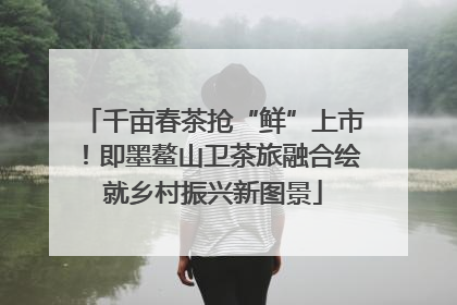 千亩春茶抢“鲜”上市！即墨鳌山卫茶旅融合绘就乡村振兴新图景
