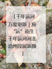 千年运河 万象更新｜应“运”而生：千年运河河北沧州段展新颜