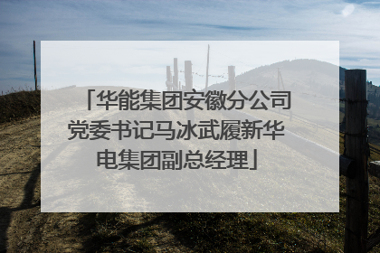 华能集团安徽分公司党委书记马冰武履新华电集团副总经理