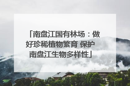 南盘江国有林场：做好珍稀植物繁育 保护南盘江生物多样性
