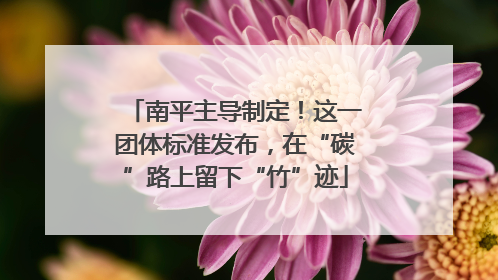 南平主导制定！这一团体标准发布，在“碳”路上留下“竹”迹