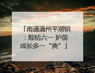 南通通州平潮镇：粽情六一 护苗成长多一“典”