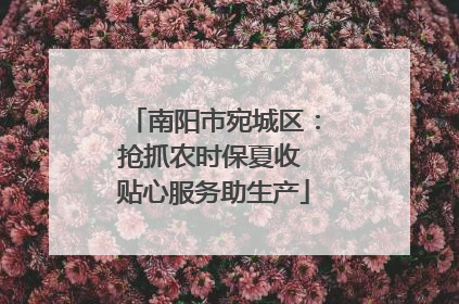 南阳市宛城区：抢抓农时保夏收 贴心服务助生产