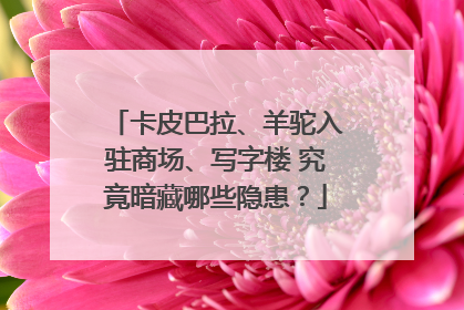 卡皮巴拉、羊驼入驻商场、写字楼 究竟暗藏哪些隐患？